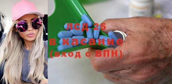 индика Семилуки